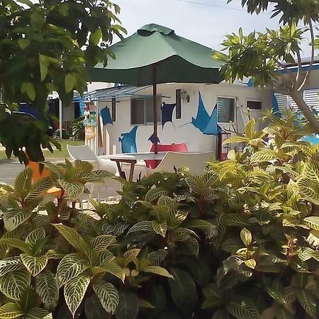 Cottage Blue Kabira Ishigaki  Exteriör bild