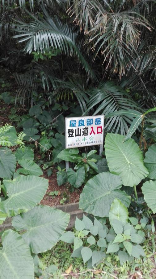 Cottage Blue Kabira Ishigaki  Rum bild